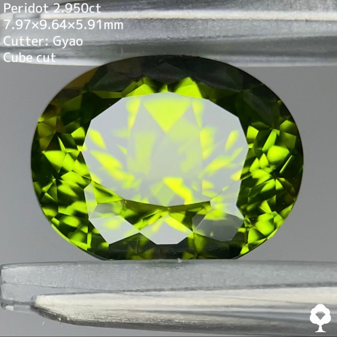 コクのある美色と鮮やかなテリのコントラストがたまらない★【Cube Cut】ペリドット 2.950ct
