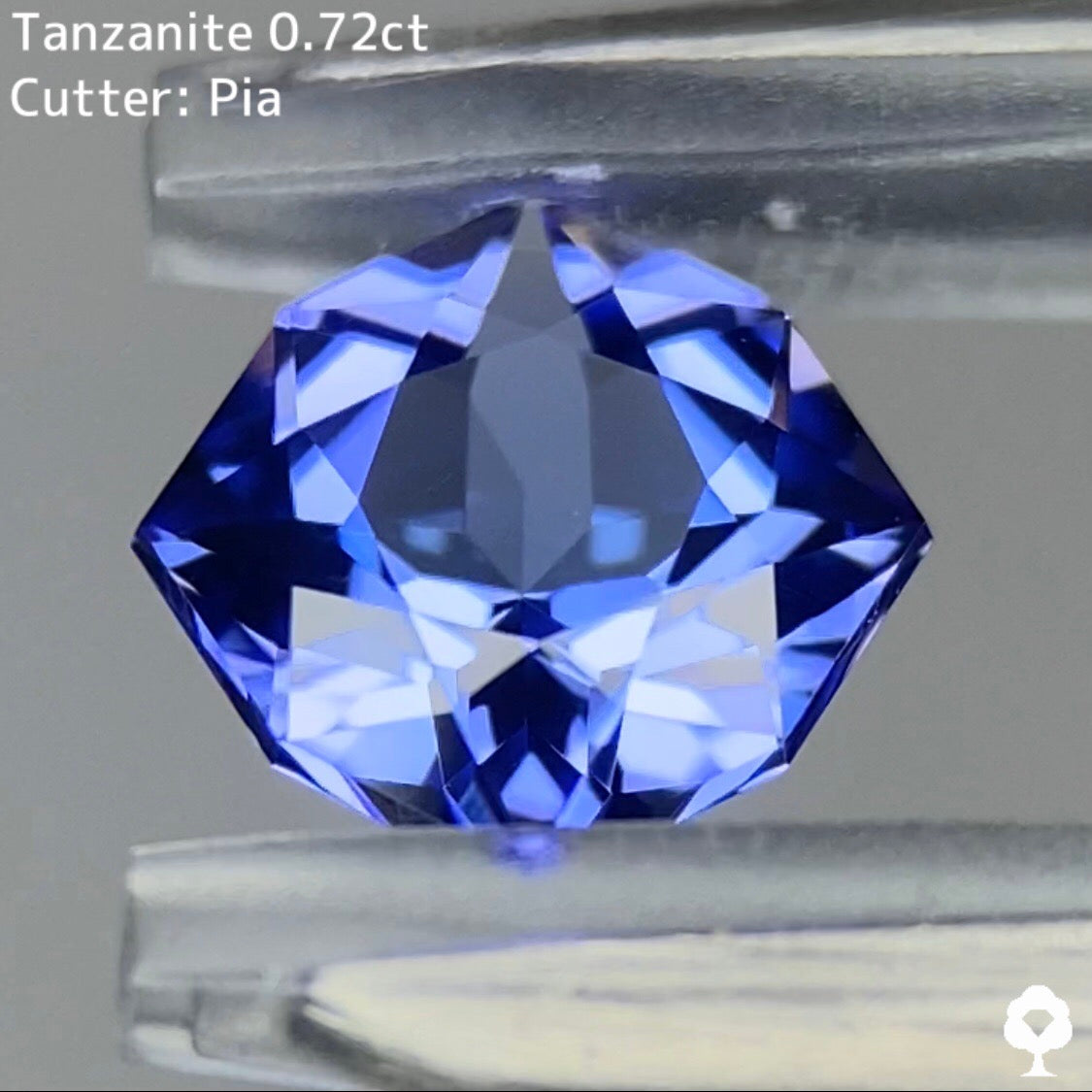 シャープなシェイプとカットに仕上げられた煌めくファンシークッション★タンザナイト 0.72ct