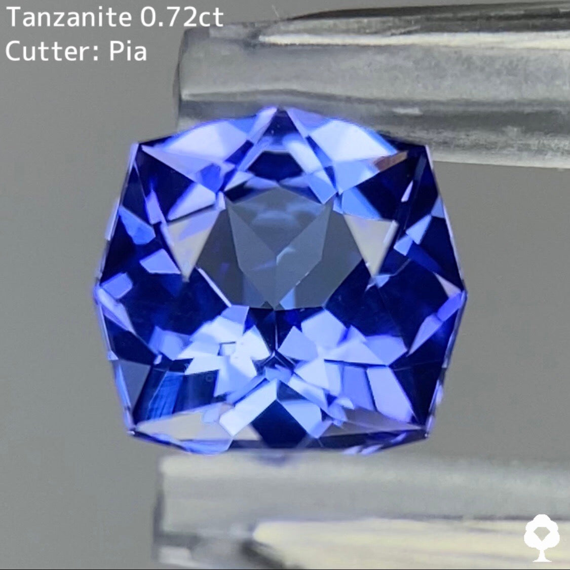 シャープなシェイプとカットに仕上げられた煌めくファンシークッション★タンザナイト 0.72ct