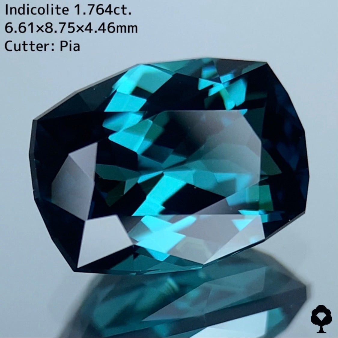 深い色合いから強烈な美色を放つ石質抜群のファンシークッション★インディゴライト 1.764ct