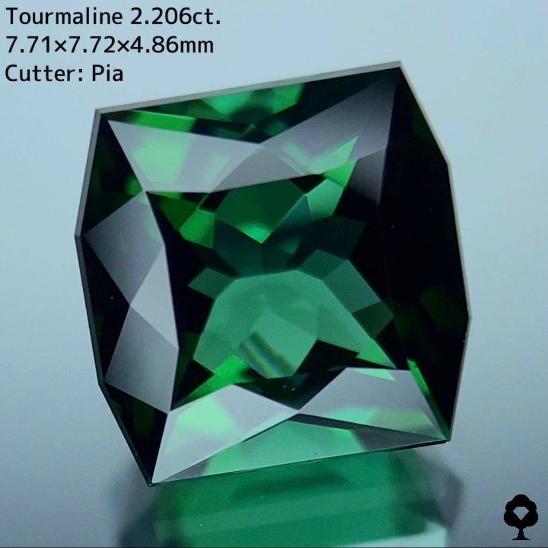 貫禄あるユニークなカタチのオクタゴンに仕上げられた正統派グリーン★トルマリン 2.206ct