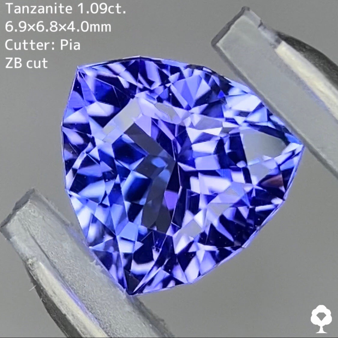 ブルーとパープルが踊る細かい煌めきの新カットトリリアント★タンザナイト1.09ct【ZB cut】