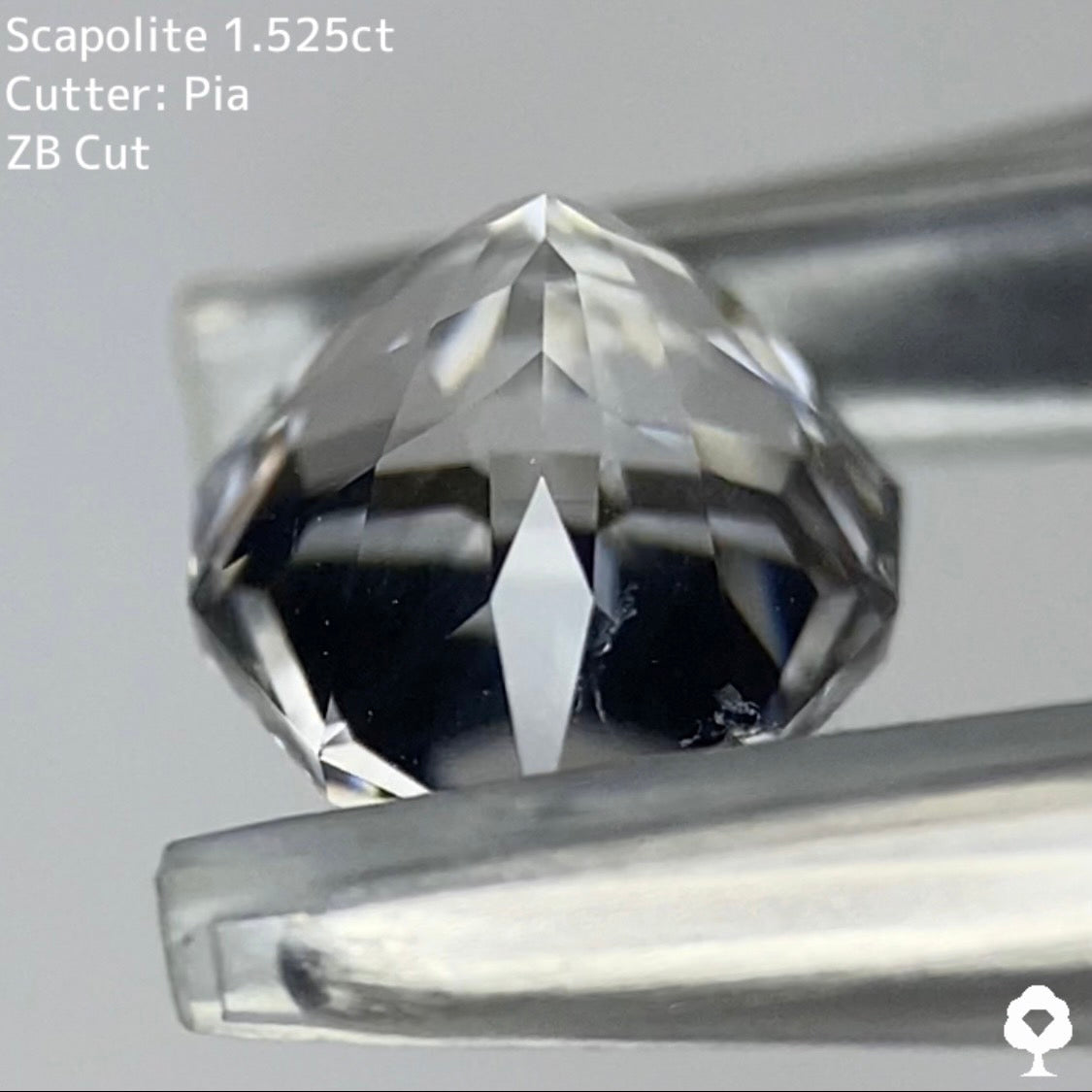 【チャットオークション落札者専用】蛍光も美しく完成度抜群の宝石の形が浮かび上がるペアシェイプ★スキャポライト 1.525ct【ZBカット】