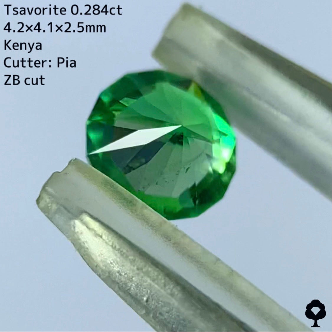 【ご当選者さま専用】チャット抽選販売★ツァボライト 0.284ct【ZBカット】