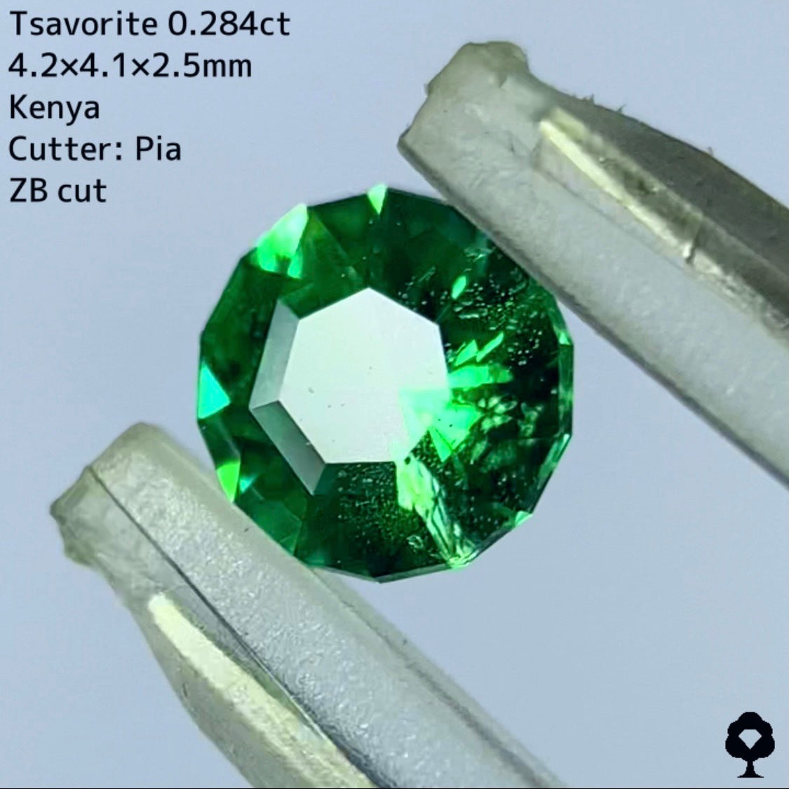 【ご当選者さま専用】チャット抽選販売★ツァボライト 0.284ct【ZBカット】