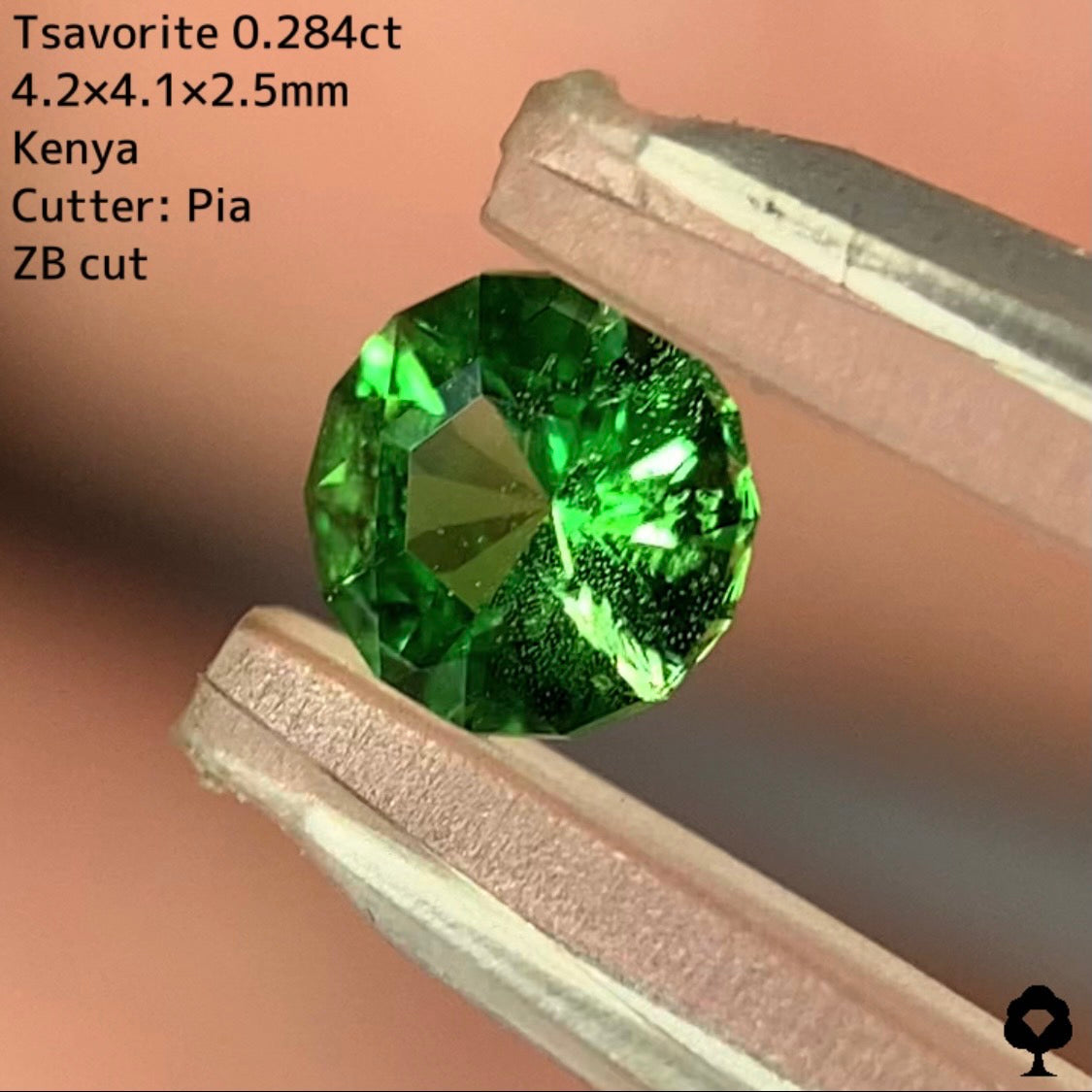 【ご当選者さま専用】チャット抽選販売★ツァボライト 0.284ct【ZBカット】