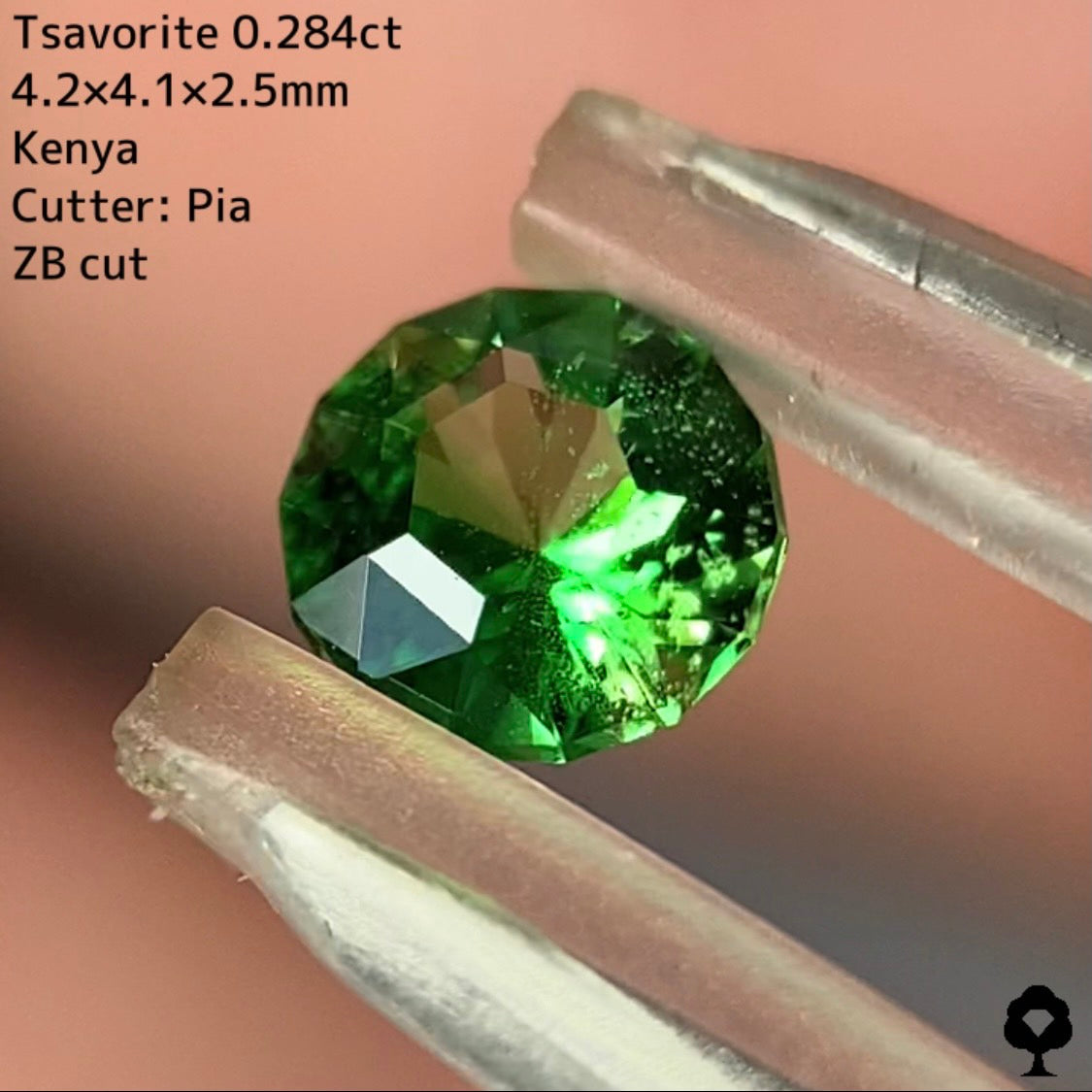 【ご当選者さま専用】チャット抽選販売★ツァボライト 0.284ct【ZBカット】