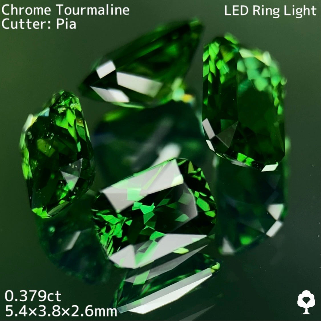 【高級プチプラ】クロムトルマリン 0.379ct