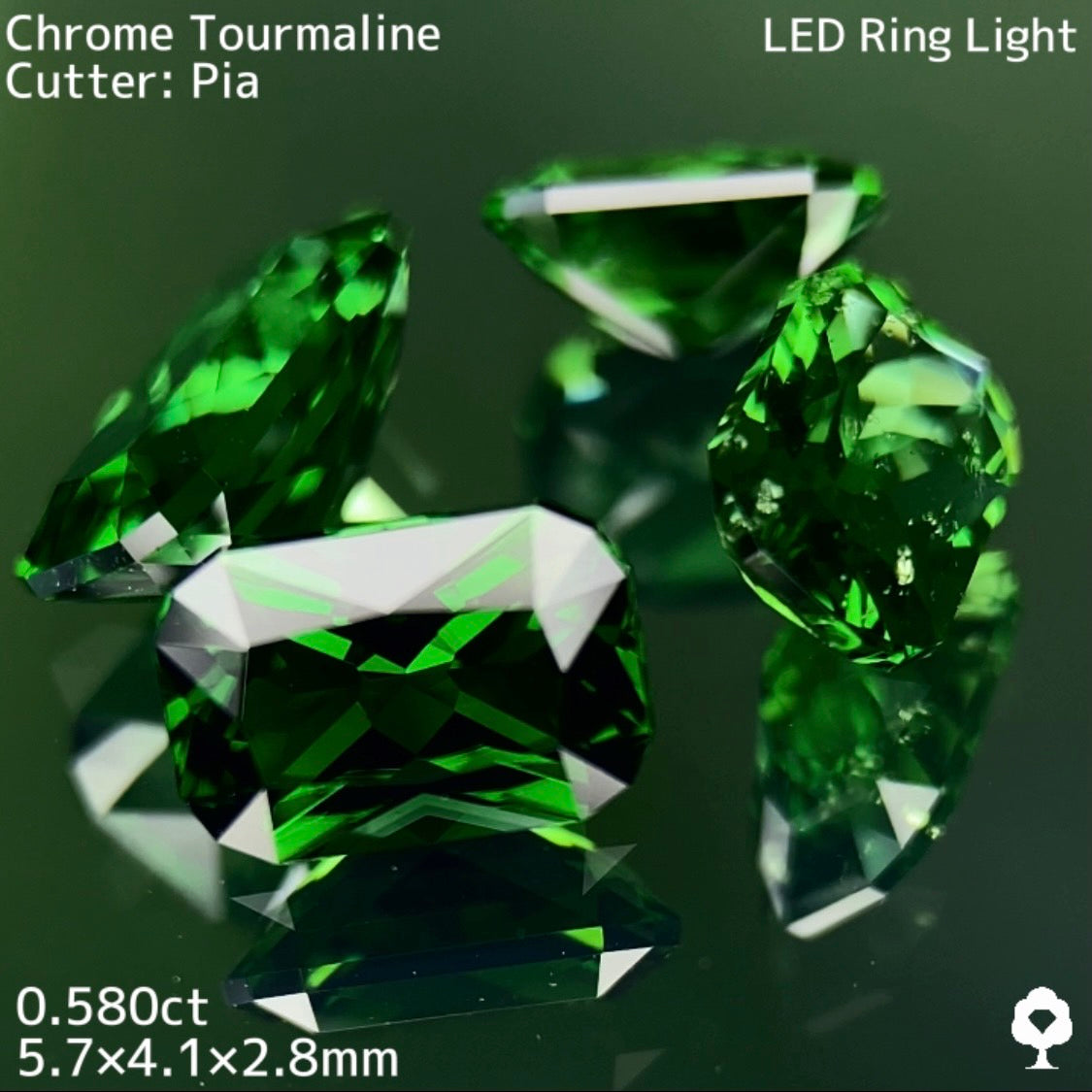 水スタ / ZB 3枚迄使用可【5/17 19時 - 5/21 21時】クロムトルマリン 0.580ct