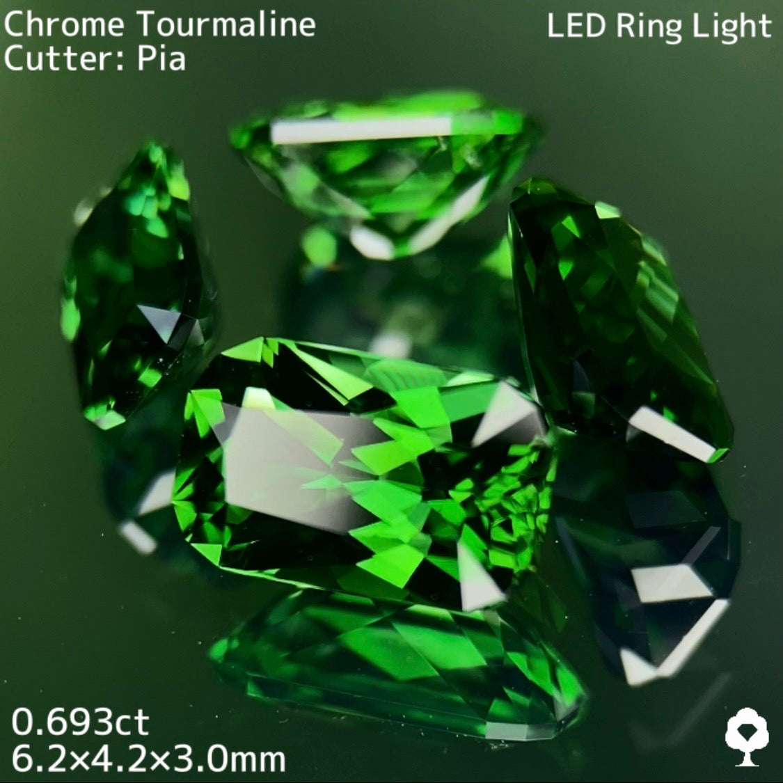 【高級プチプラ】クロムトルマリン 0.693ct