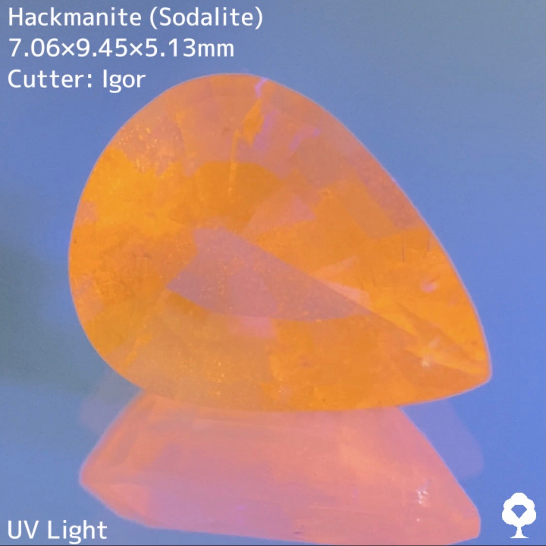 端正なペアシェイプに仕上げられたフワリとしたライラックカラーはUV強蛍光★ハックマナイト 1.378ct イガちゃん作品