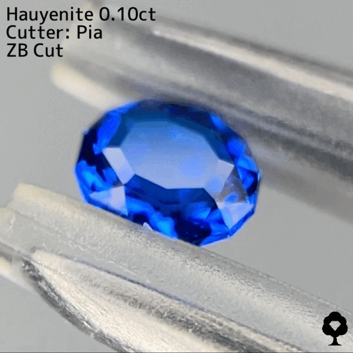 【ZBカット】アウィンナイト0.100ct. ファンシーオーバル★ピアッちゃん作品