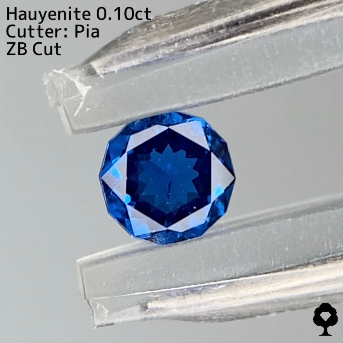 【ZBカット】アウィンナイト0.100ct. ピアッちゃん作品