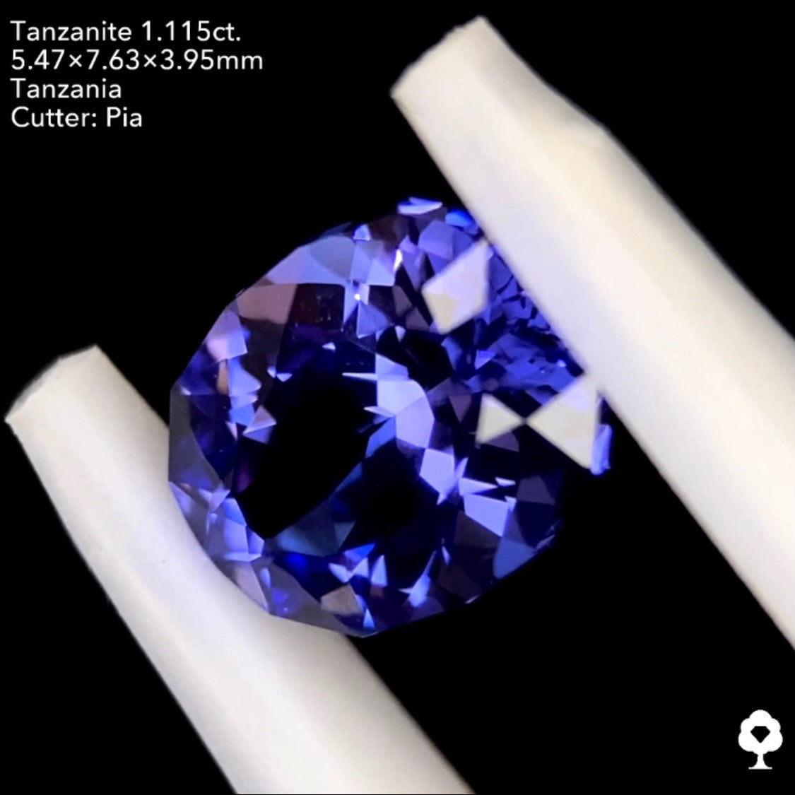 タンザナイト1.115ct. ファンシーオーバル ピアッちゃん作品