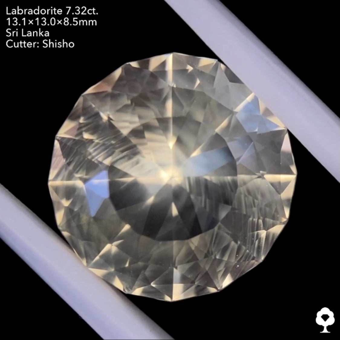 打ち上げ花火のようなシラーの3ステップクラウンファンシーラウンド★ゴールデンラブラドライト7.32ct. 師匠作品