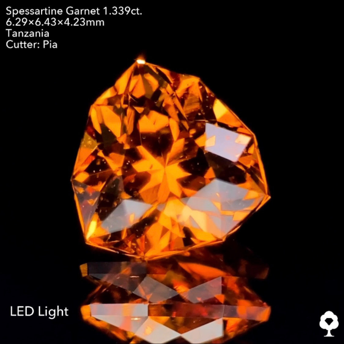 目の覚める鮮やかなオレンジと相性抜群のファンシートリリアント★スペサタイトガーネット1.339ct.ピアッちゃん作品