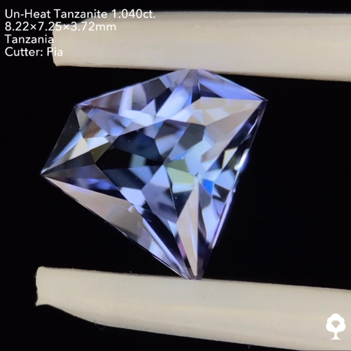 非加熱タンザナイト1.040ct. 宝石形 ピアッちゃん作品