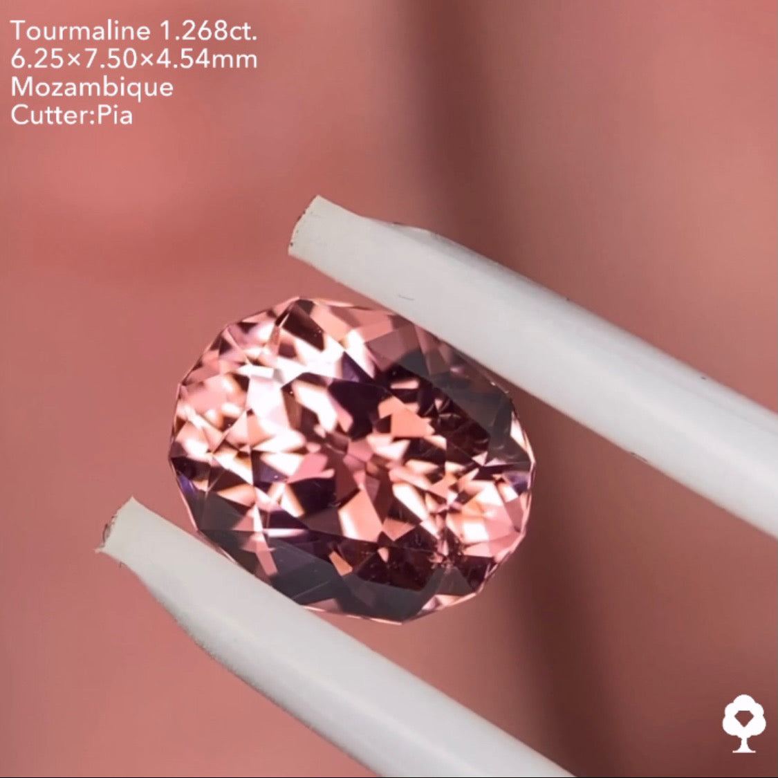 【五月病を吹っ飛ばせキャンペーン💨】美色・美カット・美結晶の三拍子揃った逸品★ピンクトルマリン 1.268ct ピアッちゃん作品