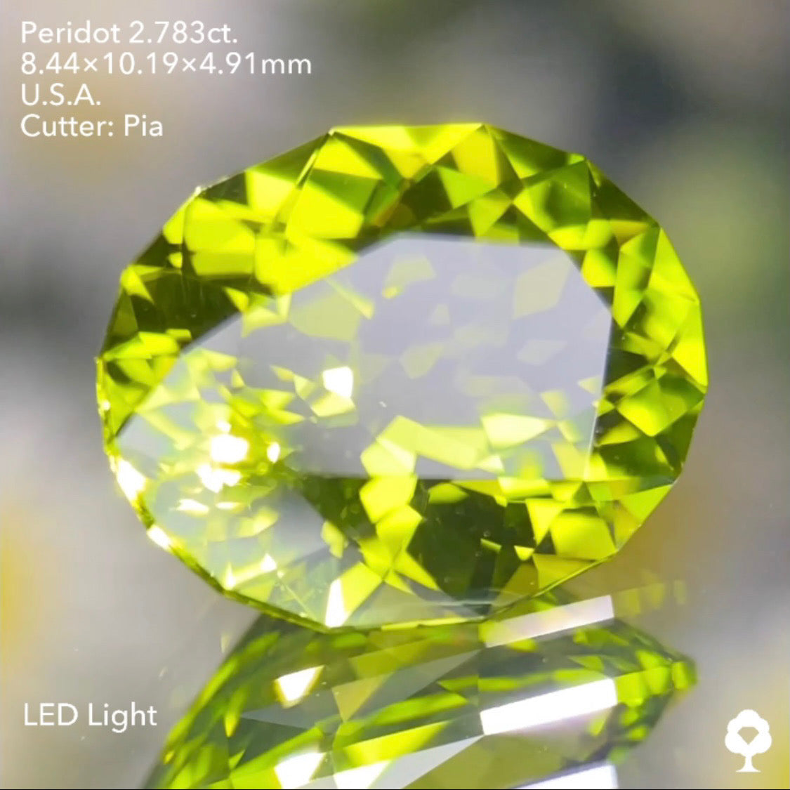 【5万円スタート❗️2023カウントダウン逆オークション】美色高品質のコレぞピアッちゃんの王道ファンシーオーバル★ペリドット2.783ct. アメリカ産 ピアッちゃん作品
