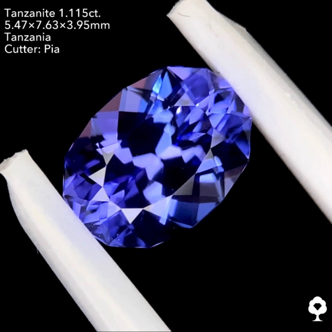 タンザナイト1.115ct. ファンシーオーバル ピアッちゃん作品
