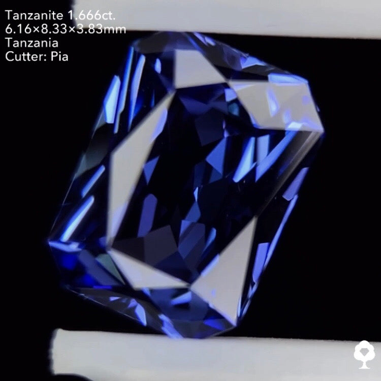 タンザナイト1.666ct. オクタゴン ピアッちゃん作品