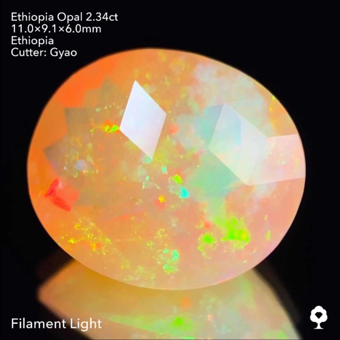 ゲオ先生の独自カット作品「キューブスターカット・オーバルversion」エチオピアオパール2.34ct ✨