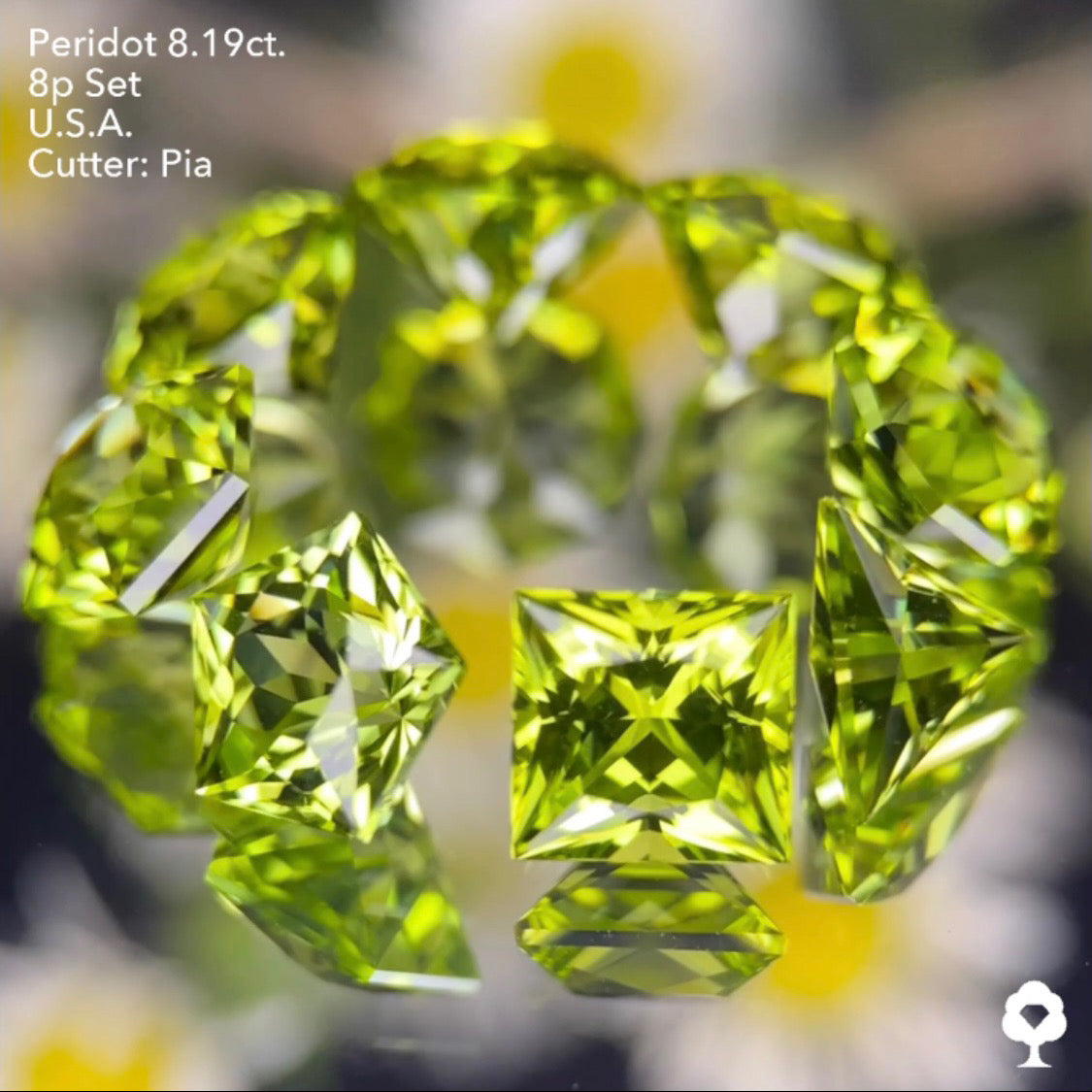 大きさ・クラリティ・輝き抜群の多角形セットはペリ好きの決定版★ペリドット8個多角形セット 計8.19ct. アメリカ産 ピアッちゃん作品