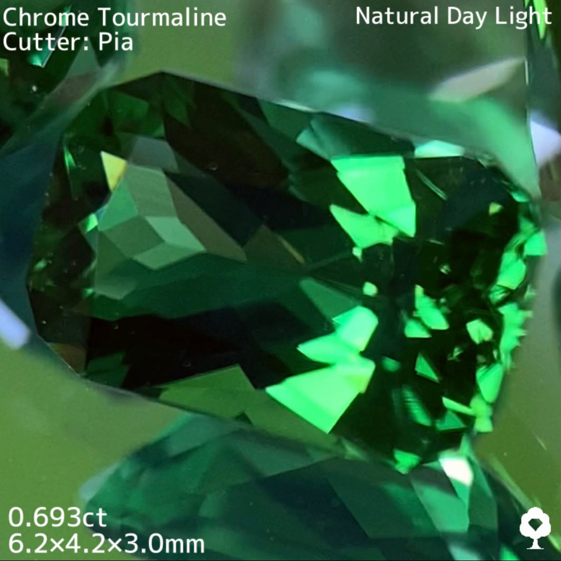【高級プチプラ】クロムトルマリン 0.693ct