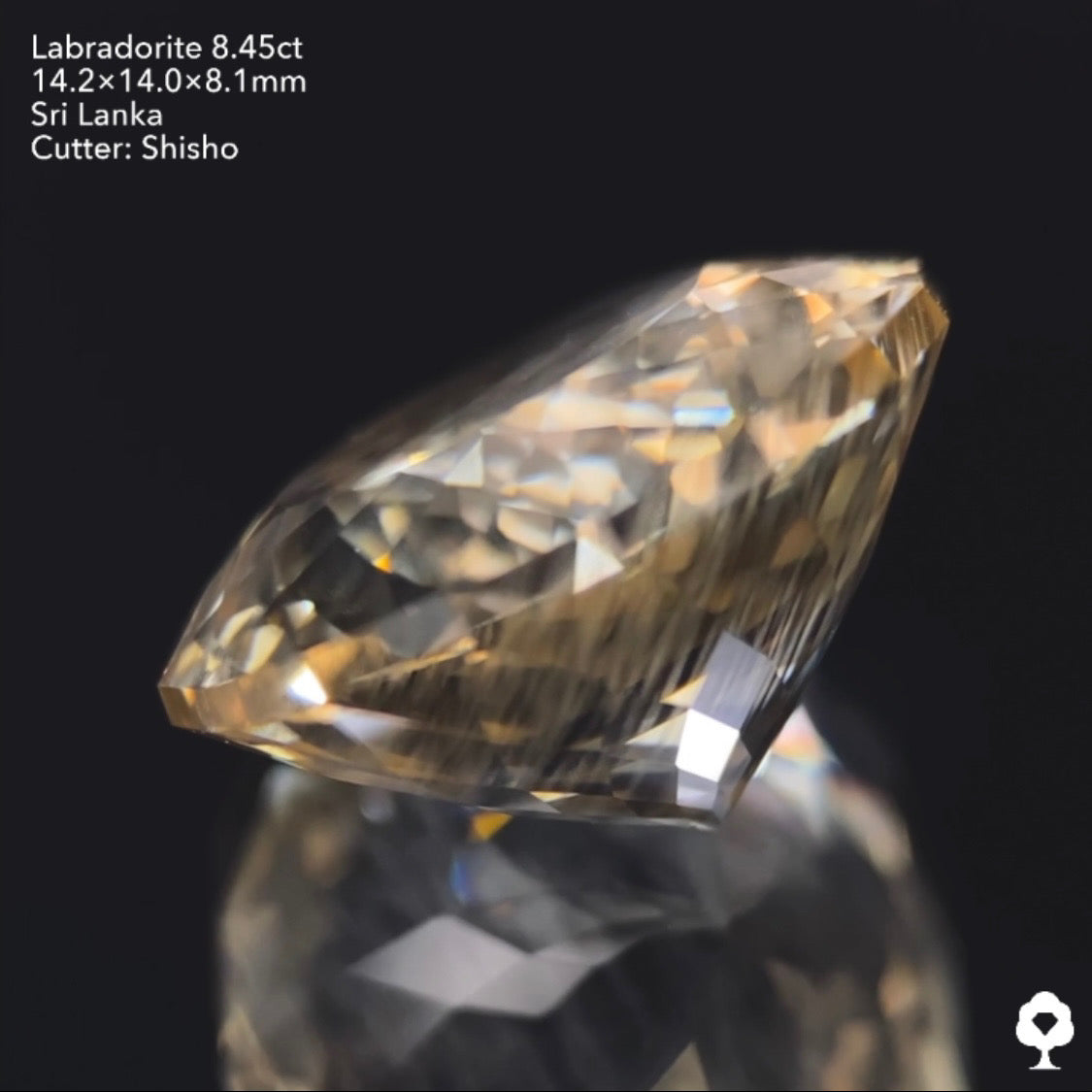 雨降りシラーが潜む大輪の花ファンシーラウンド★ラブラドライト8.45ct 師匠作品