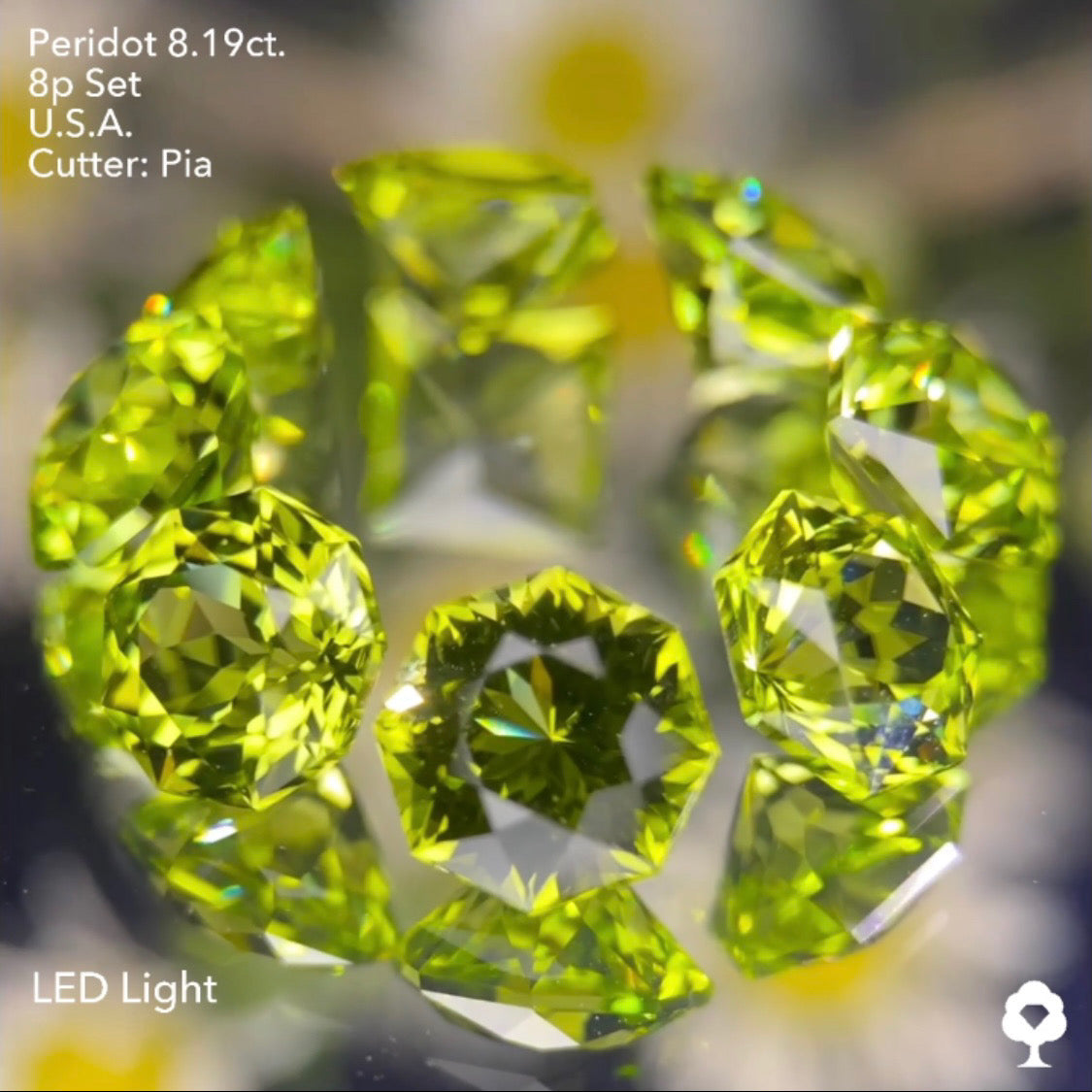 大きさ・クラリティ・輝き抜群の多角形セットはペリ好きの決定版★ペリドット8個多角形セット 計8.19ct. アメリカ産 ピアッちゃん作品