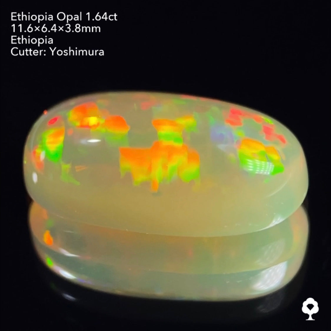実はハニカムも浮かぶコッペパンのような可愛い形に登る遊色★エチオピアオパール1.64ct 吉村作品