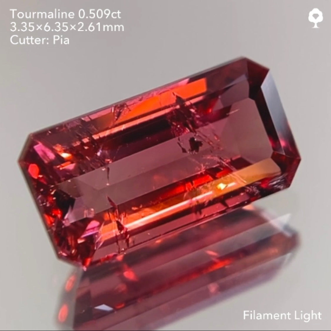 【サイレン配信逆オークション】トルマリン0.509ct ピアッちゃん作品