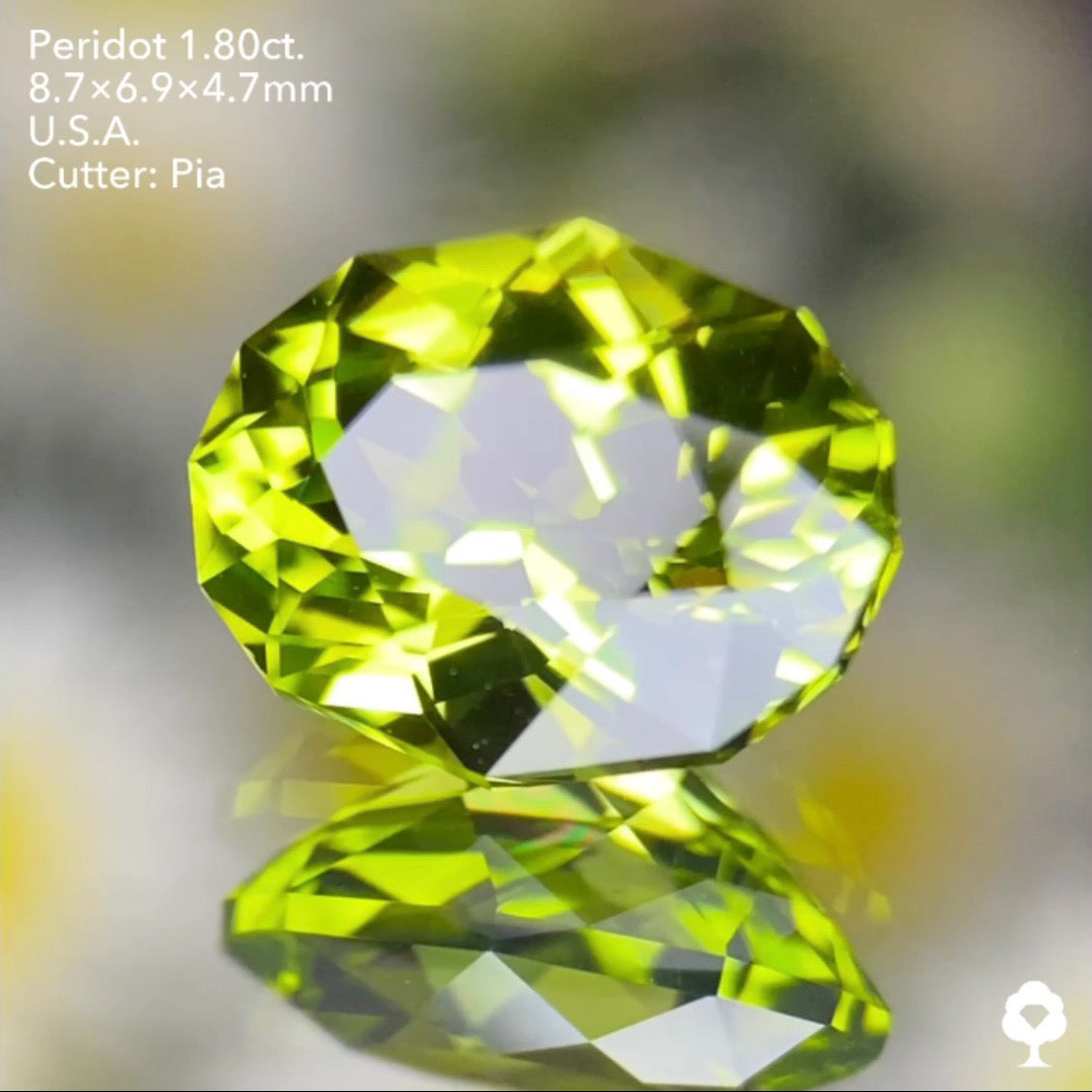 【お客さま専用・誕生石プレゼント】ペリドット1.80ct ピアッちゃん作品