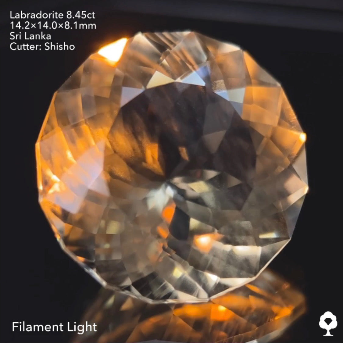 雨降りシラーが潜む大輪の花ファンシーラウンド★ラブラドライト8.45ct 師匠作品