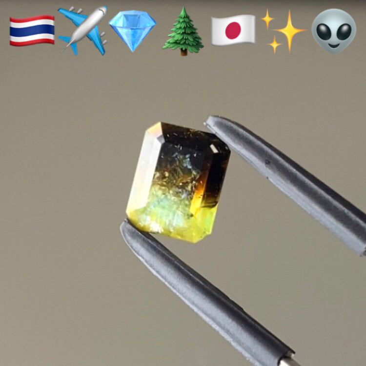 豊かな表情が楽し過ぎる★青と緑と実はブラウン★バイカラートルマリン0.75ct