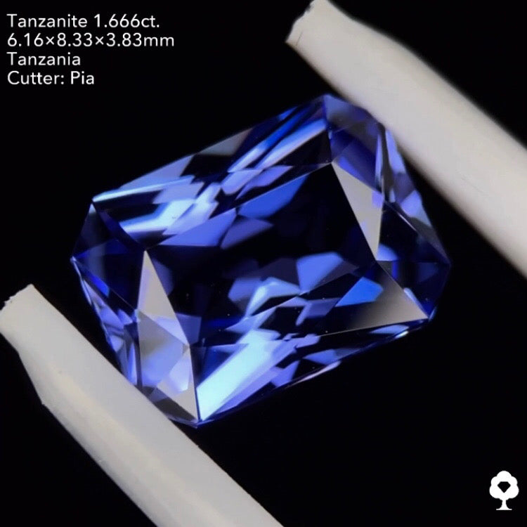 タンザナイト1.666ct. オクタゴン ピアッちゃん作品
