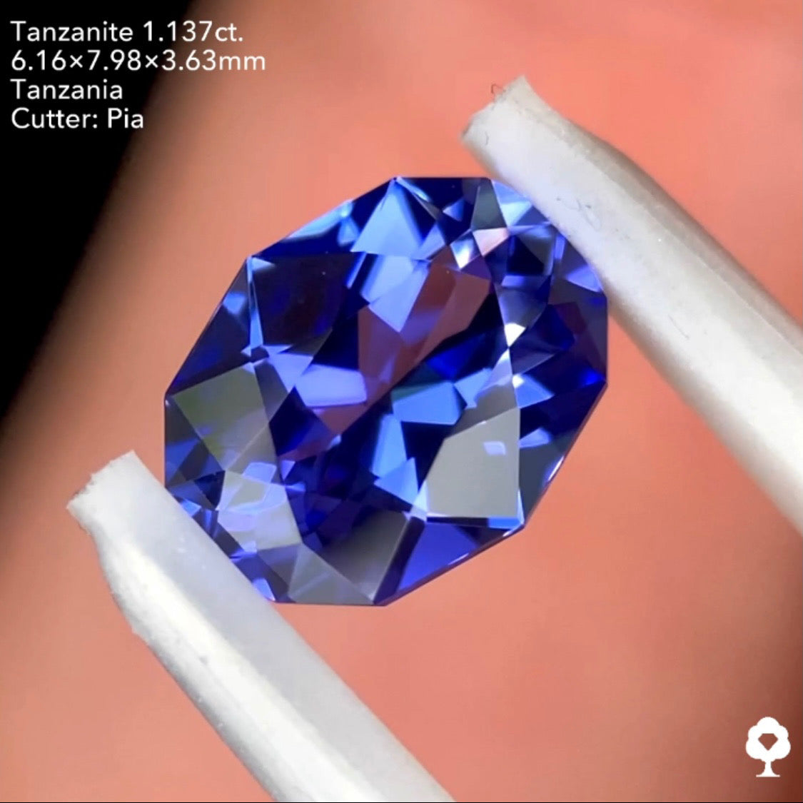 タンザナイト1.137ct. ファンシーオーバル ピアッちゃん作品
