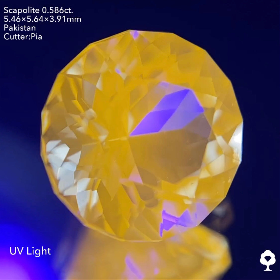 ギラギララウンドが蛍光して美しいたんぽぽになる★スキャポライト0.586ct ピアッちゃん作品