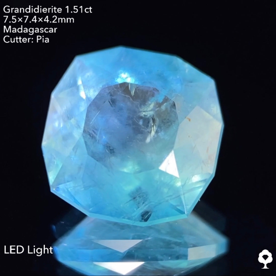 【仕切り直し‼️個展特別オークション】グランディディエライト1.51ct