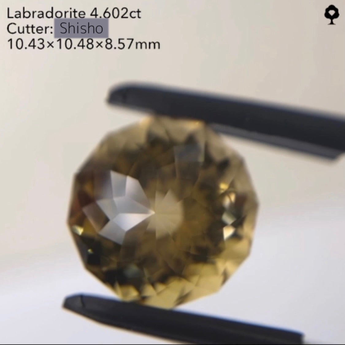 【SOLD OUT】両面スクリューの引き込まれる輝き★ラブラドライト4.602ct/師匠作品