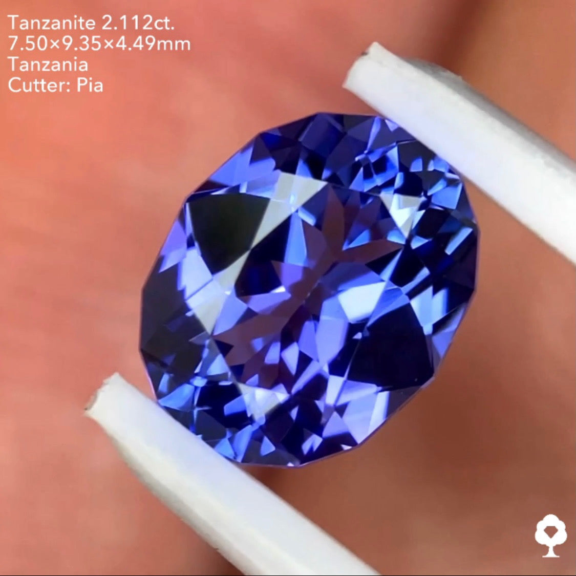 タンザナイト2.112ct. ファンシーオーバル ピアッちゃん作品