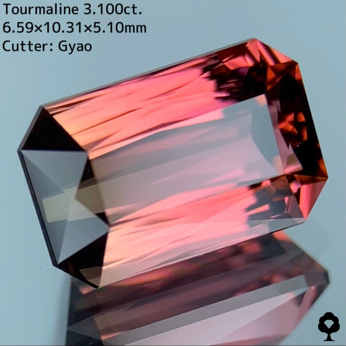 大人可愛いピンクからゴールドへのグラデーションにシザースの圧倒的な輝き★トルマリン 3.100ct