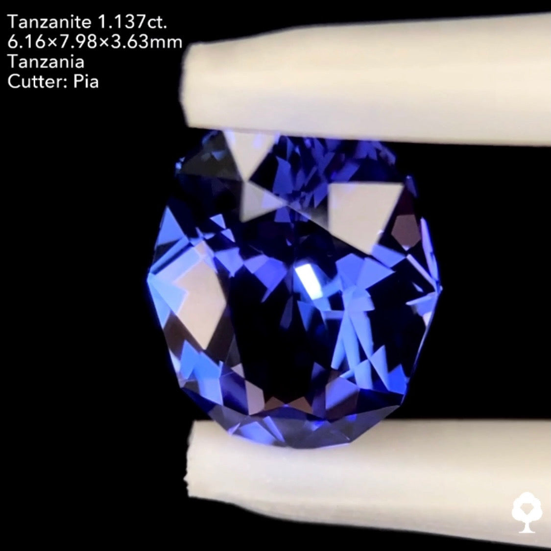タンザナイト1.137ct. ファンシーオーバル ピアッちゃん作品