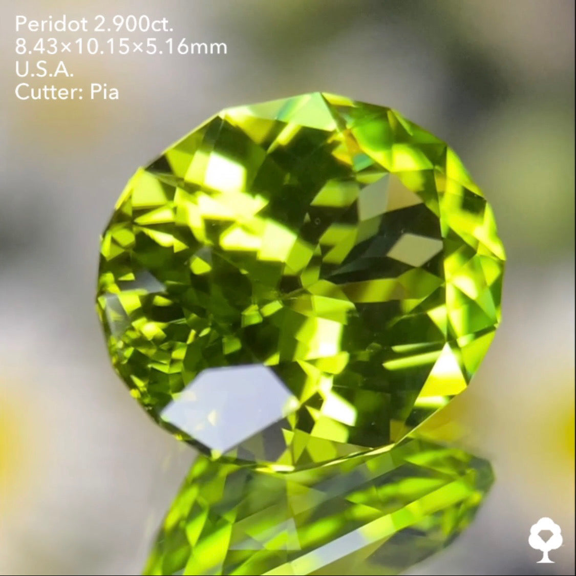 さりげなく浮かぶリリーパッドが可愛い青みある美グリーンの美結晶★ペリドット2.900ct. アメリカ産 ピアッちゃん作品