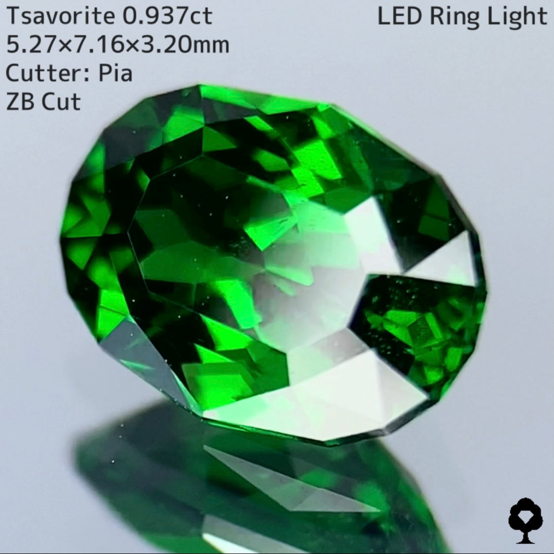 【5/7 21時終了】ZB 20枚!?!?迄使用可能【GWオークション⑤】ツァボライト0.937ct 【ZB cut】