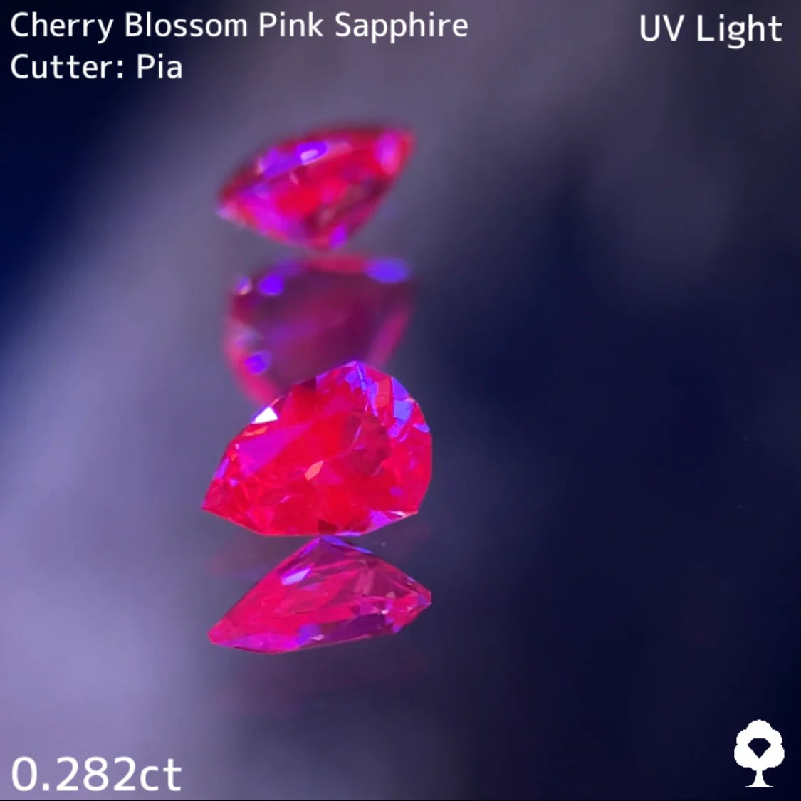 水スタ / ZB 5枚使用可能 【4/19 19時 - 4/23 21時】ピンクサファイア 0.282ct