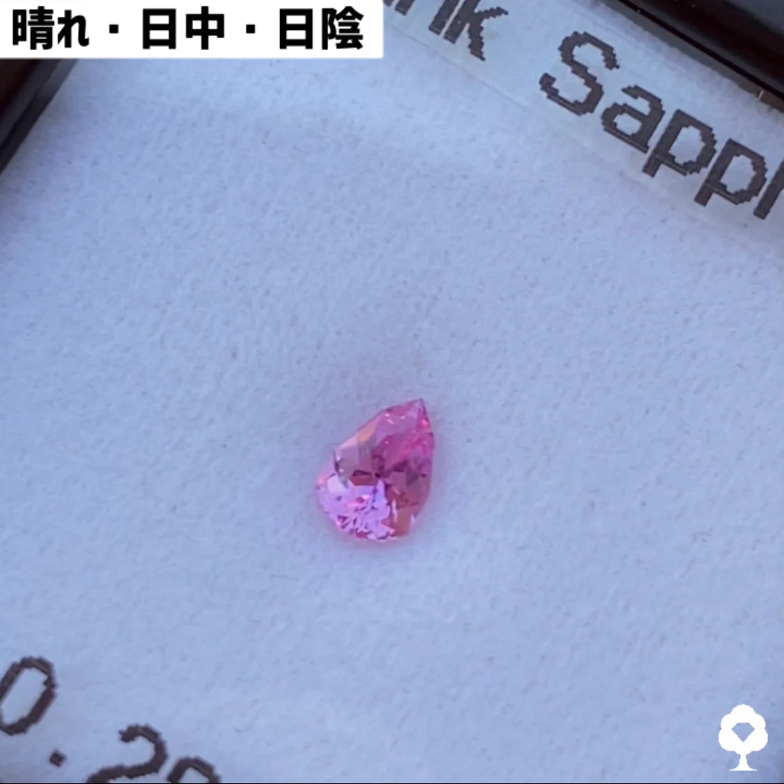 水スタ / ZB 5枚使用可能 【4/19 19時 - 4/23 21時】ピンクサファイア 0.282ct