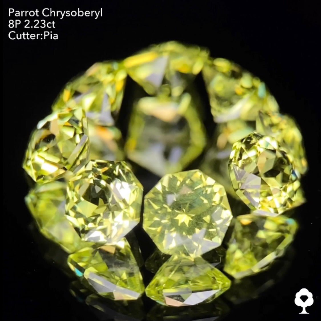 【9/1(木)終了‼️1ヶ月オークション】パロットクリソベリル2.23ct. ピアッちゃん作品