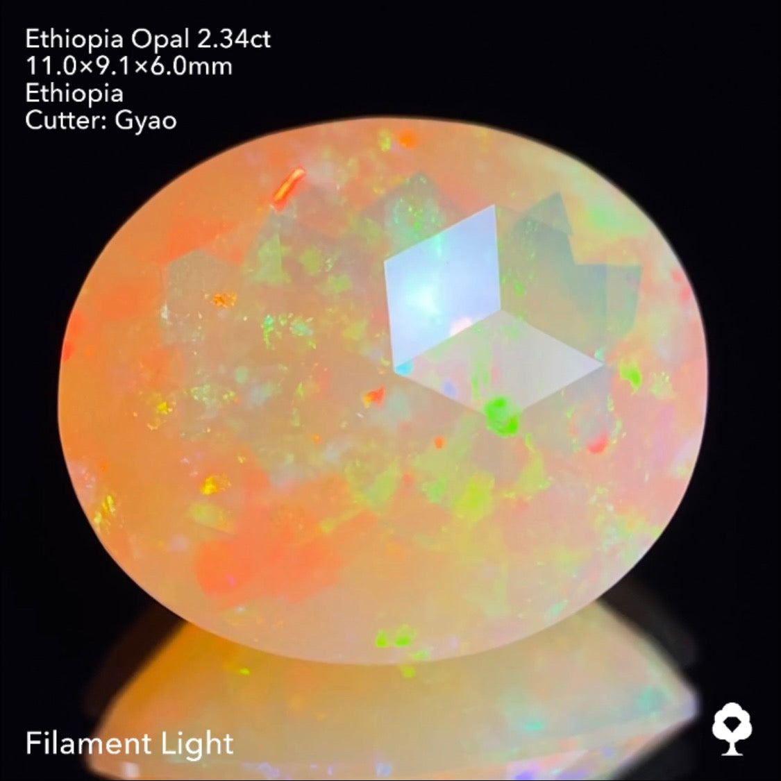 ゲオ先生の独自カット作品「キューブスターカット・オーバルversion」エチオピアオパール2.34ct ✨
