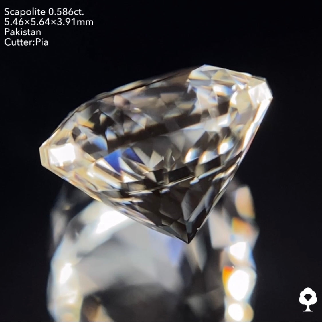 ギラギララウンドが蛍光して美しいたんぽぽになる★スキャポライト0.586ct ピアッちゃん作品